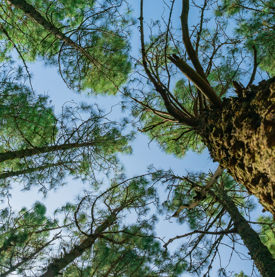 Erfa Arsa, Biz Kimiz?